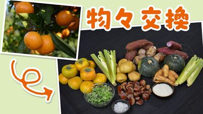旬の野菜や果物、米、魚、ケーキまで、日本全国から和歌山のミカン農園に届く「物々交換」の品々。始まりは、全国の農家の妻たちの農産物交換