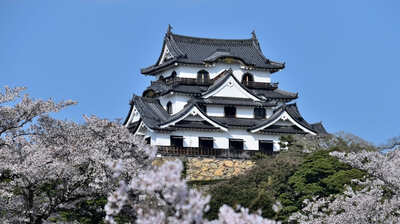 彦根城内二の丸に校舎がある「彦根東高校」は、滋賀県立第一中学校などを経て現在の校名に。なぜ大津ではなく彦根に一中ができたかというと…