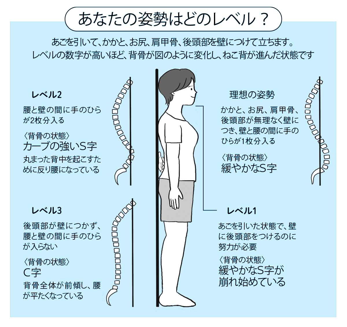 2ページ目)背筋力の衰えは40代から!腰痛、肩こり、頭痛 2ページ目)背筋力の衰えは40代から!腰痛、肩こり、頭痛