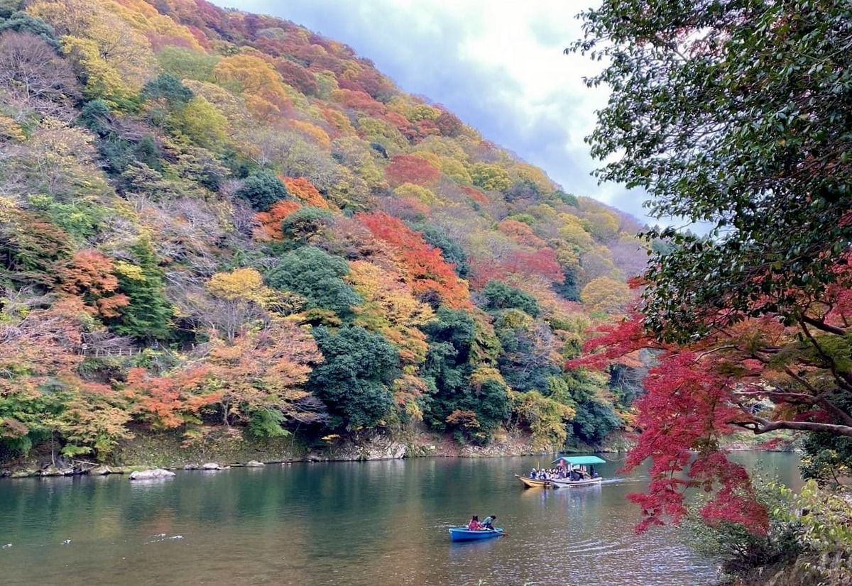 天皇も愛でた錦秋の嵐山