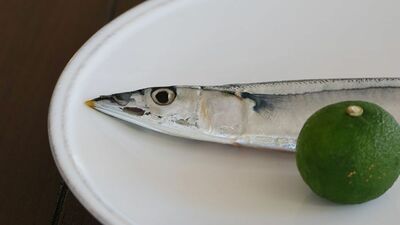 魚を食べない高倉健が挑戦した秋の味覚。パートナーが語る食卓の思い出「じっとお皿を見つめたあと、覚悟を決めたように一箸目を口に運んでくれました」