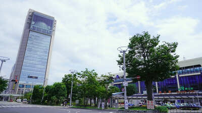 冤罪事件に巻き込まれた元厚生労働事務次官・村木厚子「東日本大震災発災1カ月後に被災地へ。避難所の人々から＜予期せぬ言葉＞をかけられ…」