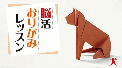 【脳活おりがみレッスン３】顔の角度や鼻の形で表情が変わる『犬』の折り方