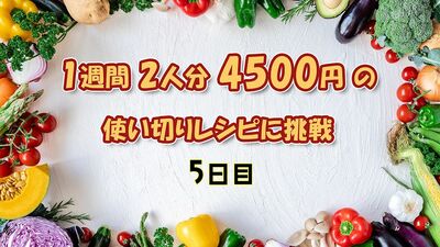 1週間2人分4500円の使い切り簡単時短レシピに挑戦！《５日目》「豚キャベツの香味ポン酢だれ」