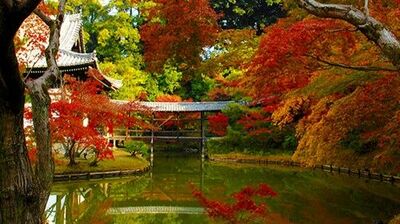 <ff俱楽部限定先行> 紅葉の高台寺を早朝貸切拝観! 作家・花房観音さんのお話を聞きながらゆったりと散策を。五感で楽しむ秋の京都東山2泊3日ツアー