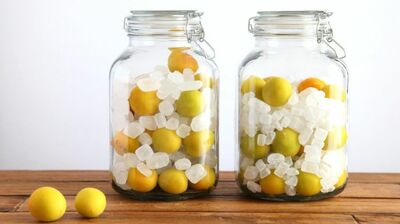 「黒いススや傷があってもOK?」梅仕事を始める前に知っておきたい「完熟梅」の見分け方。和歌山「梅ボーイズ」リーダーが徹底解説