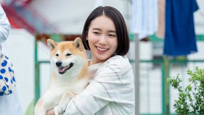 『シバのおきて』第２回あらすじ。街での撮影中、雷の音に驚いた柴犬の福助が姿を消してしまい…＜ネタばれあり＞