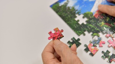 和田秀樹、数独やパズルだけでは「脳の老化」は止まらない。カギを握るのは…