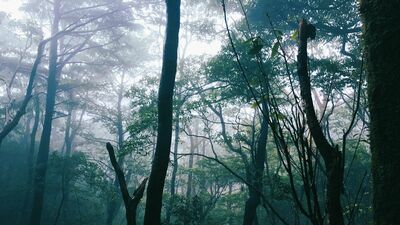 【年末年始特集】車にはねられ昏睡状態になった小学生の息子。両親が帰宅すると…今年反響の大きかった「怪談・ホラー」記事を3本まとめ読み！