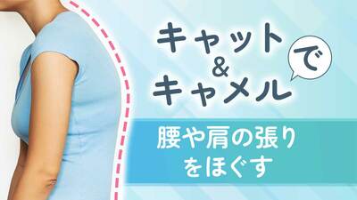 「良い姿勢」と「ラクな姿勢」は半々が理想。週3日の姿勢改善ストレッチで姿勢のクセを直し、腰や肩のコリをほぐす