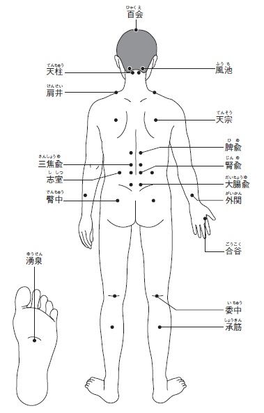 東洋医学」における重要な概念＜経絡＞。なぜその上のツボが体の部位や