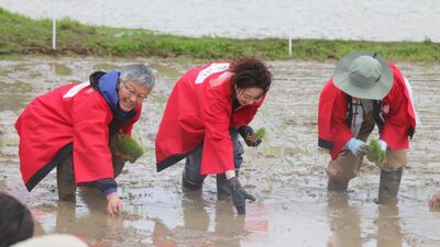 越乃リュウ「故郷・新潟で毎年恒例〈米山プリンセス〉の田植えに参加。しかし暴風で4年目にして初の…」
