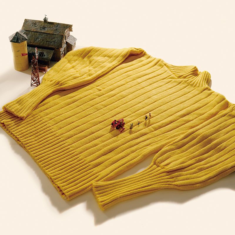 田中達也「からし色のセーターが広大な金色の畑に！孫が祖母に駆けよる