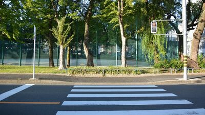 幼児を背負ったおばあさん。信号が赤から青へ変わる前に渡り始めようとしたところ「危ないよ!」と叫んだのは…