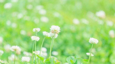 余命1年の間に展覧会を開いた知り合いも。85歳・みつはしちかこ「平凡でも一日一日を充実させて、大事に生きていったほうがいいな、と思うんです」