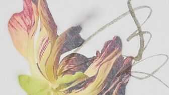 創作家・久保京子×美術家・春陽 写真と書のコラボ作品展「TATANAHARU 2025 日々たおやか」が銀座にて開催