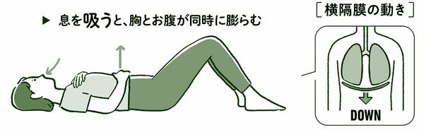 息を吸うと、胸とお腹が同時に膨らむ