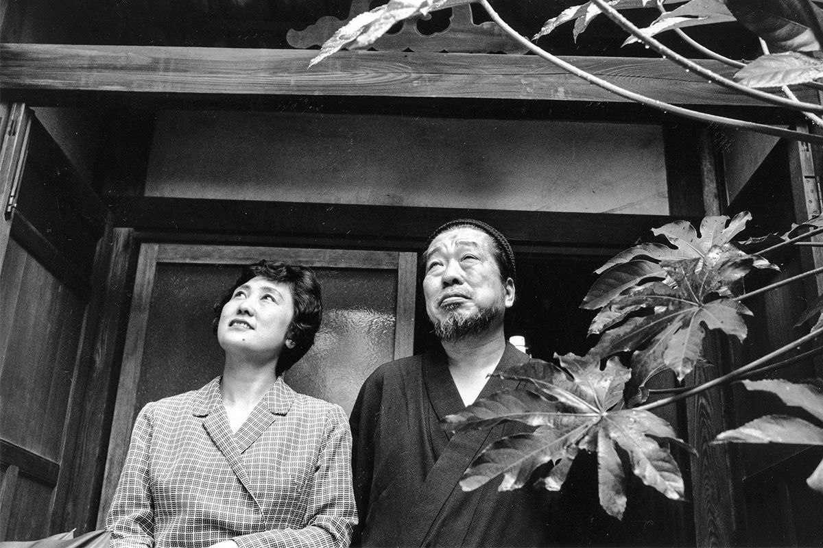佐藤 愛子 若い 頃