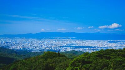 ＜信長の朝倉攻め敗退＞2つのナゾ。本当に這々の体で京都へ逃げ帰ったのか？3万の軍勢はどこに行った？本郷和人が『豊臣兄弟！』を解説