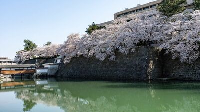 『豊臣兄弟！』に未登場。兄弟のいとこ・青木一矩。秀吉没後は越前北ノ庄城主となるも、関ヶ原後に…豊臣の血筋を本郷和人が解説