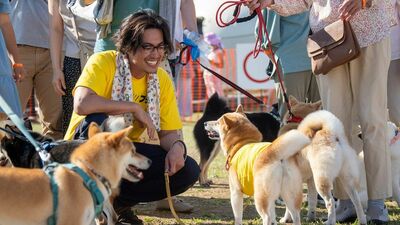 『シバのおきて』第8回あらすじ。ファンの期待に応えるため、編集部は「シバフェス」の開催を決定。相楽たちは…<ネタばれあり>