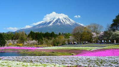 【GW特集・お出かけ編】60代から始める「ソロ旅」の極意。初心者でも楽しめる「フラット登山入門」。思い出を綺麗に残したい人に「スマホ写真編集のコツ」