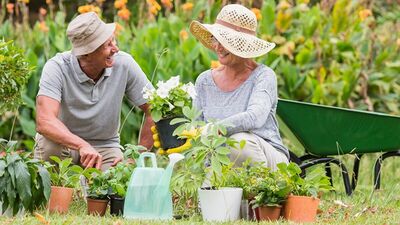 「なんだか若返ったみたい」と言われるようになった、ガーデニングが趣味の70代夫婦。庭にベンチとテーブルを設置、人との交流で脳が活性化