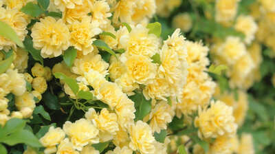 88歳・田村セツコ　年をとってわかった＜ひとり暮らし＞のありがたさ。「若いころはそんな自由があることにあまり気づいていなかった。でも今は…」