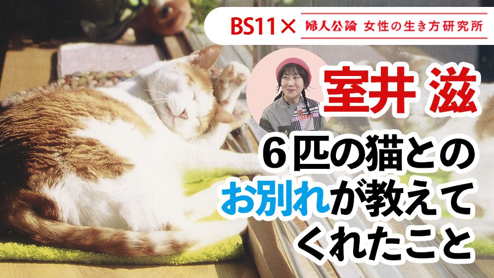 【動画公開中!】最新回は、室井滋が語る「6匹の猫との別れが教えてくれたこと」!~BS11テレビ番組「婦人公論 女性の生き方研究所」