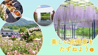 春は「花旅」のベストシーズン。花旅コーディネーターが選ぶ、この春おすすめ美しい風景を満喫できる花の鑑賞スポット８選！＜茨城・群馬＞