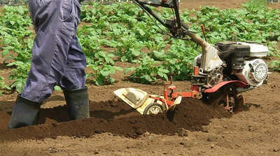 2026冬季オリンピック開催国・イタリアと日本の「農業」を比較。日本の農村が衰退の一途をたどる一方、イタリアでは<地方都市の再興>が見られ…