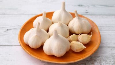 「熟成ニンニク抽出液」の抗老化作用が解明。〈健康寿命〉と〈平均寿命〉がイコールになる社会を