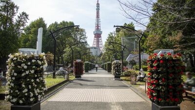 祝・都立公園制度開始150周年！「花と光のムーブメント」を見に、東京都港区・芝公園へ行ってみよう