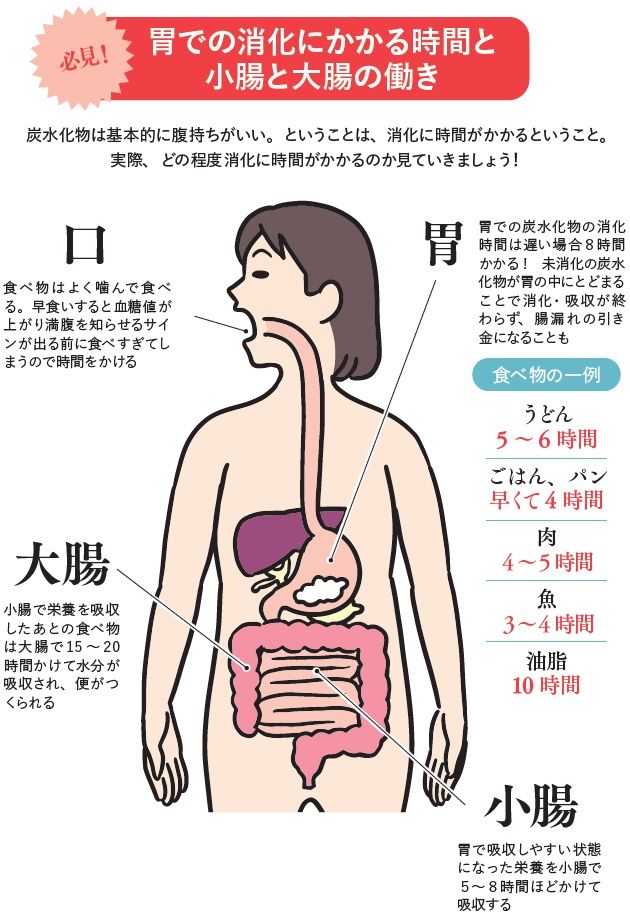 4ページ目）摂ったはずの栄養が無駄に？ごはん・うどん・パンは魔性の