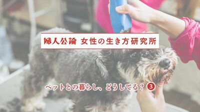 中高年女性に聞いた、ペットにかかるお金。1年間の食費平均7.3万円、医療費平均7.4万円。年間総額50万円以上かかっている人も