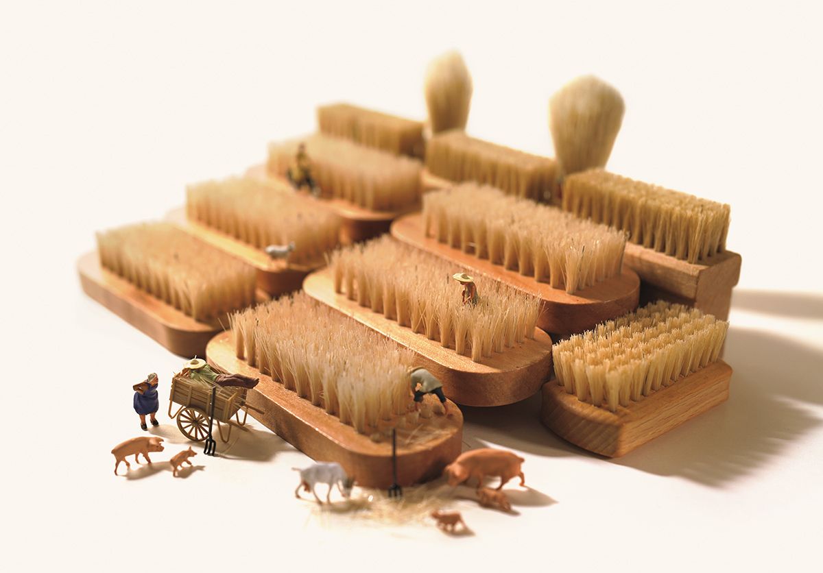 田中達也「ブラシの『二毛作』。季節ごとの動物の毛の生え替わりも畑と