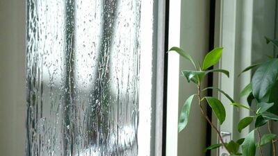 梅雨の時期に注意したい3か所はズバリ<玄関><キッチン><リビング>。清潔に保つ「ポイント」を押さえて湿気やカビ・ダニをシャットアウト!