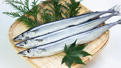 知ってた？ さんまの内臓を食べられるのはアレがないから！気になる寄生虫、青い点のことも解決！