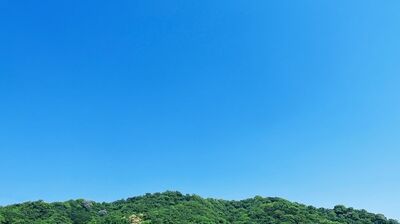 産婦人科医・高尾美穂が、毎日<空を眺めること>を習慣にするワケ。「空一つを取ってみても、何通りもの考え方をすることができる。つまり…」