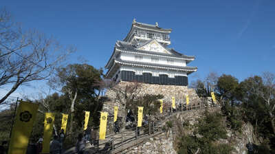 「岐阜城には幽霊が出る」噂の根幹は＜まむし＞と呼ばれたあの武将？美濃で10万石を与えられた家康の娘婿・奥平信昌は岐阜城に入らず加納城を築き…