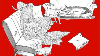 伊藤比呂美「ソファ、買いました」