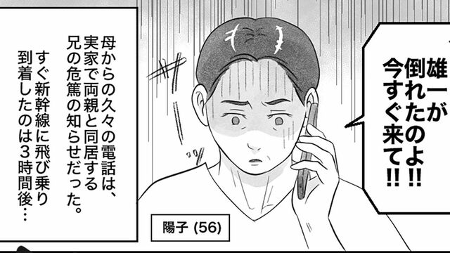 漫画『実家じまい』