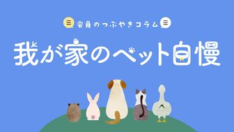 あなたのペット自慢を教えてください！