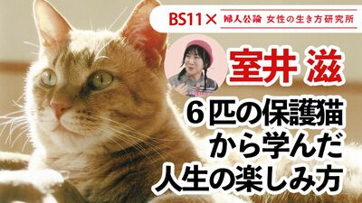 【動画公開中!】第21回は、室井滋が6匹の保護猫から学んだ「人生の楽しみ方」!~BS11テレビ番組「婦人公論 女性の生き方研究所」