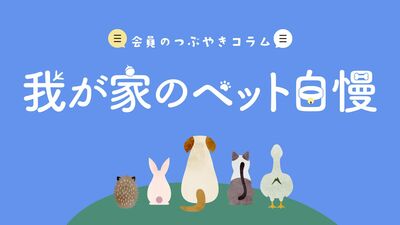あなたのペット自慢を教えてください!