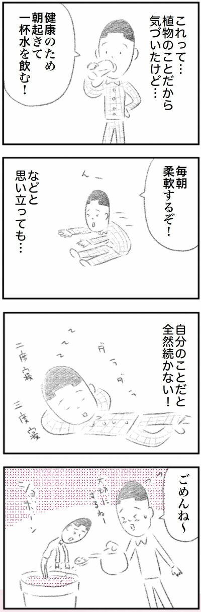 漫画「ご自愛さん」矢部太郎