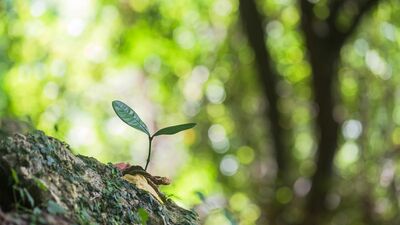 40代で見つかったがん。「まさか自分が」と落ち込んだが、過去の私に心から称賛を送った2つの理由