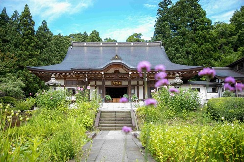 林泉寺の写真