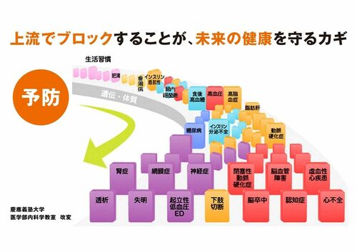 上流でブロックすることが、未来の健康を守るカギ