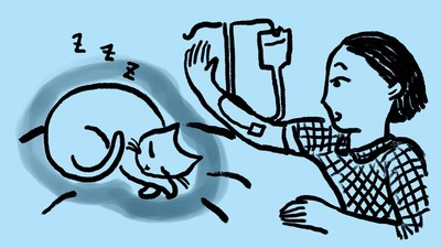 腎臓病で逝った愛猫が、私の下腹あたりをふみふみと足踏みする夢を見た。導かれるように、何年も受けていなかった婦人科検診を受けてみると…